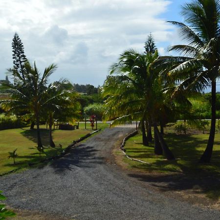 God'S Peace Of Maui Bed & Breakfast Makawao Стая снимка