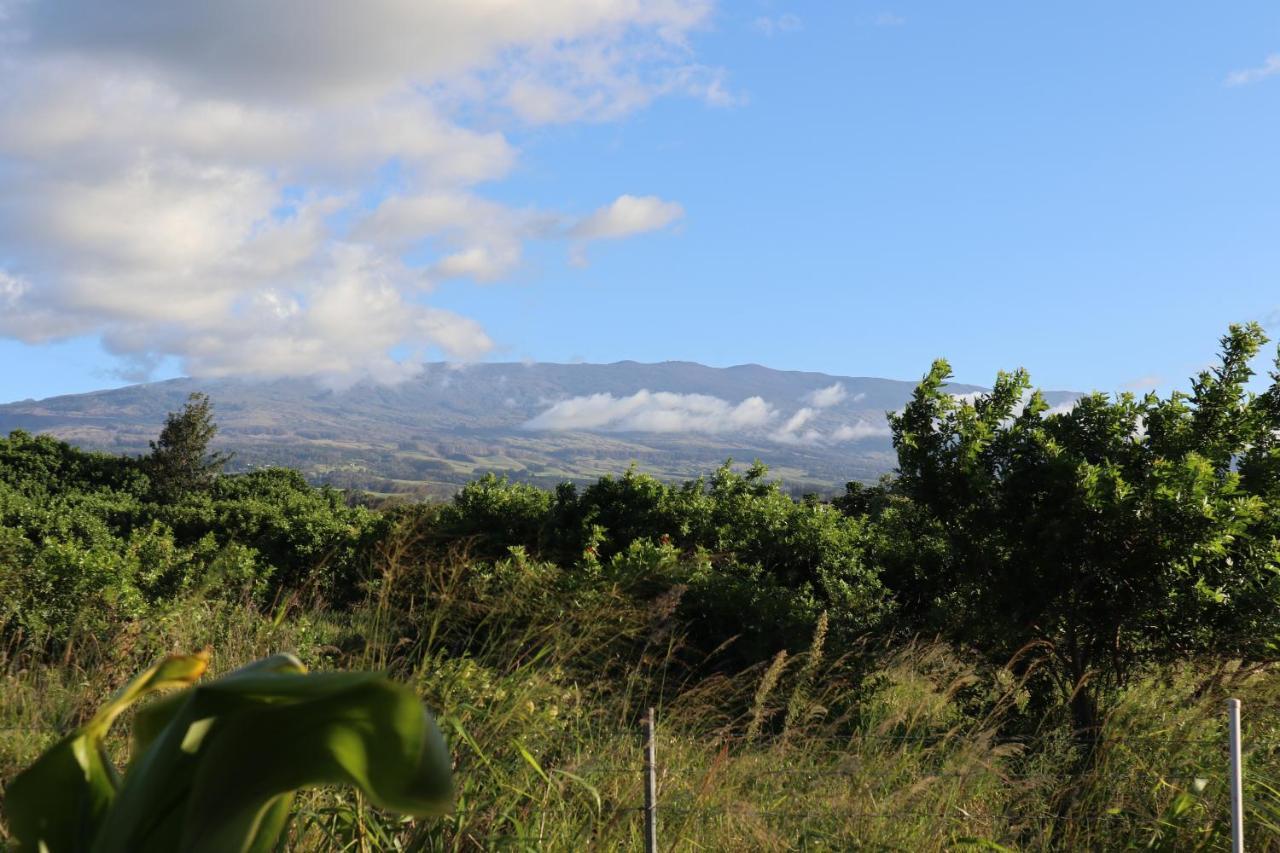 God'S Peace Of Maui Bed & Breakfast Makawao Екстериор снимка