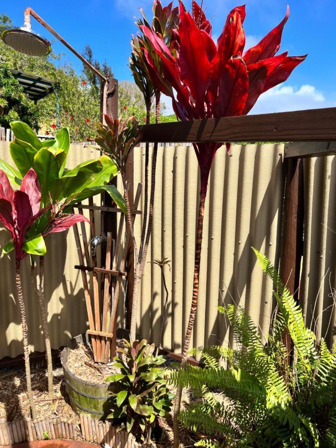God'S Peace Of Maui Bed & Breakfast Makawao Екстериор снимка