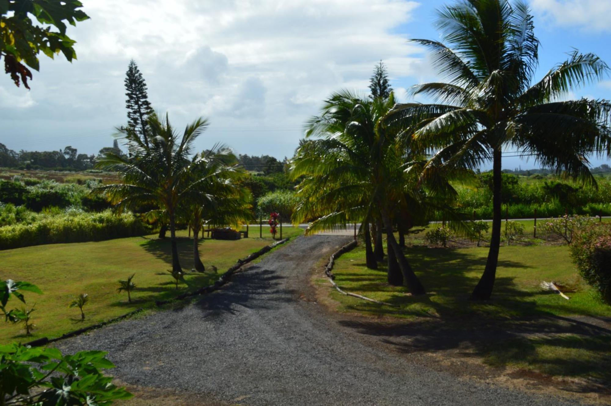 God'S Peace Of Maui Bed & Breakfast Makawao Стая снимка