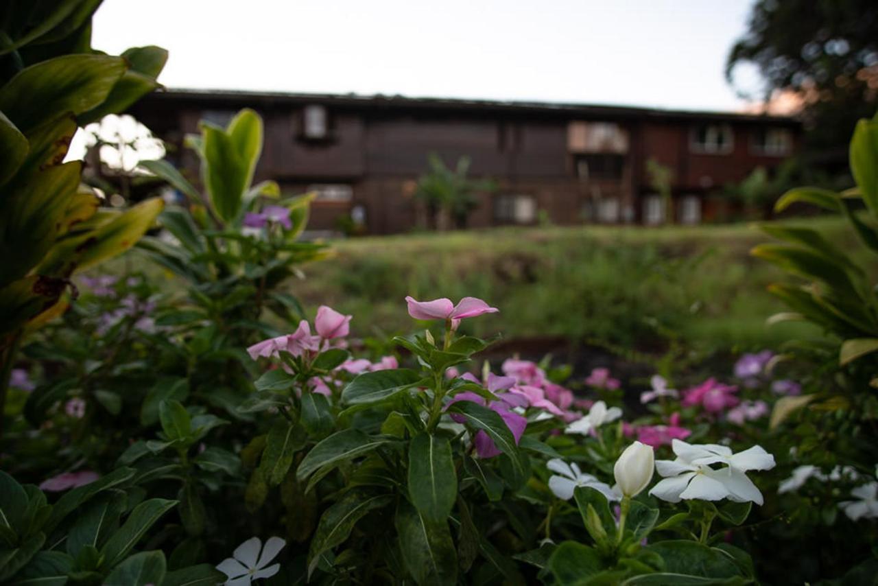 God'S Peace Of Maui Bed & Breakfast Makawao Екстериор снимка