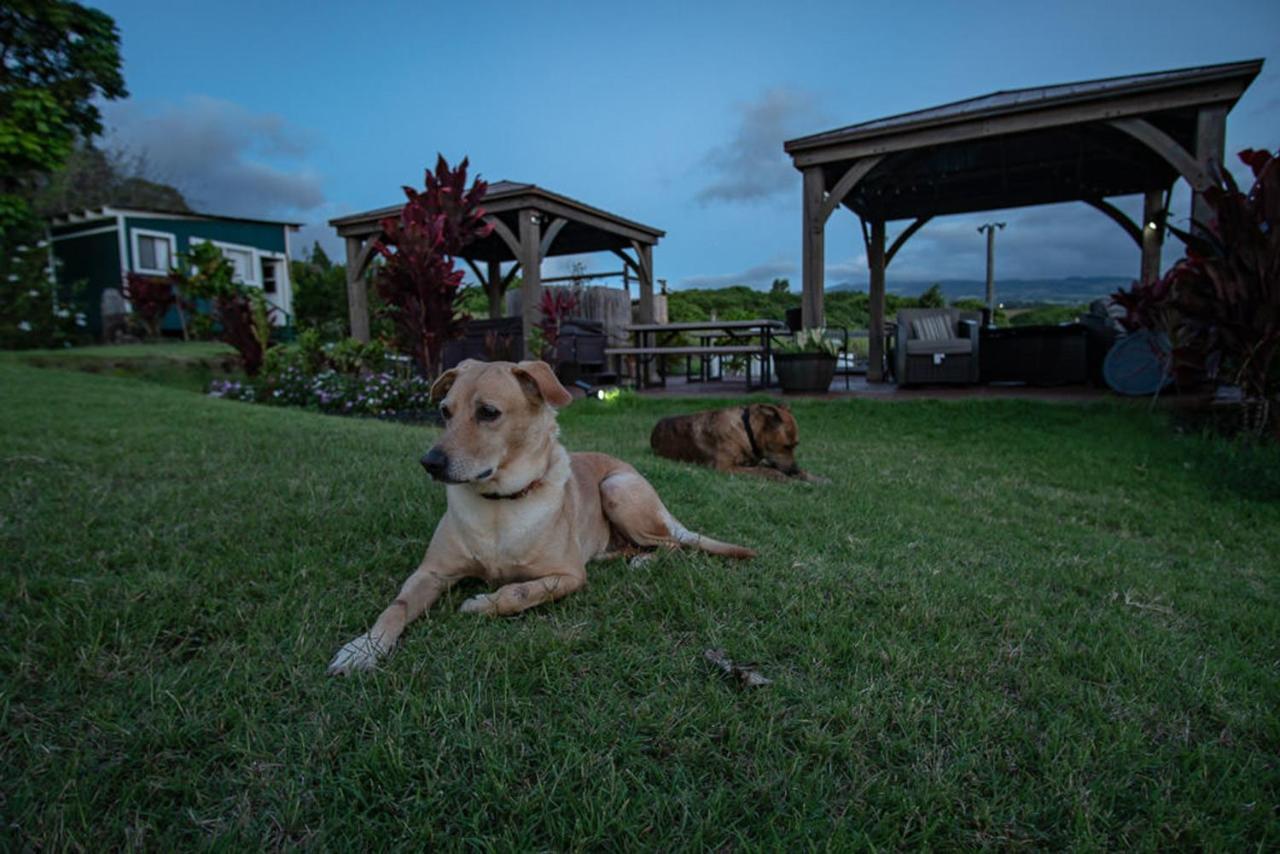 God'S Peace Of Maui Bed & Breakfast Makawao Екстериор снимка